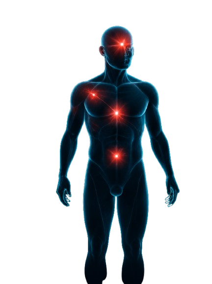 Symptom-focused body view